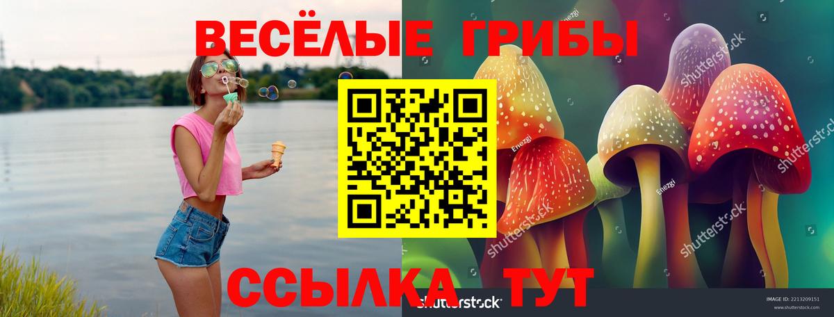 Волгодонск  Псилоцибиновые грибы MAGIC MUSHROOMS  Вход с VPN 