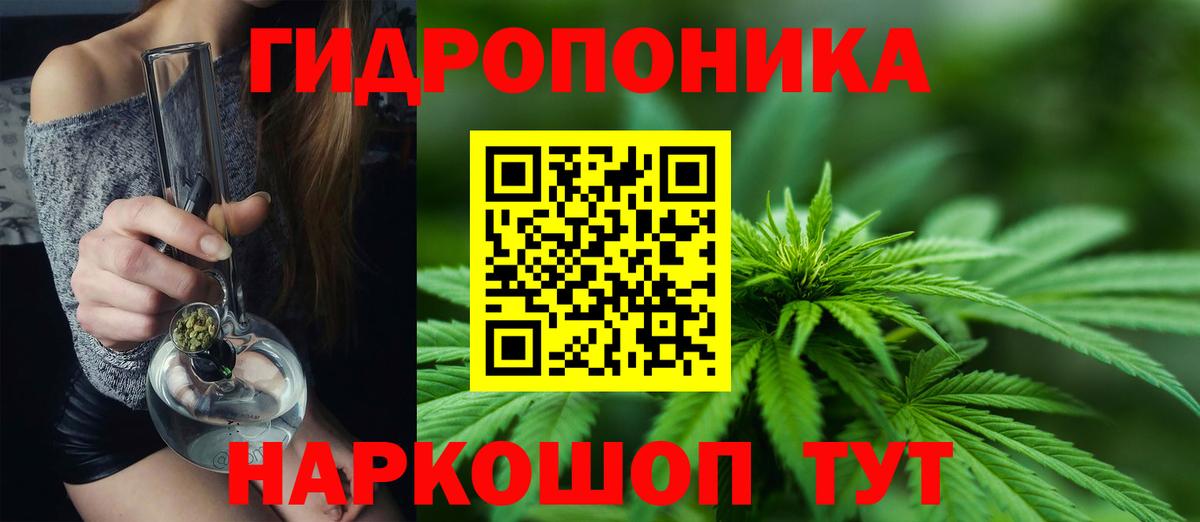Канабис план  Бошки марихуана сатива  Вход с VPN  Волгодонск  Бошки марихуана план 